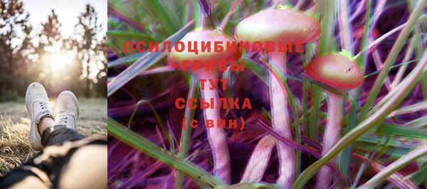 спиды Белоозёрский