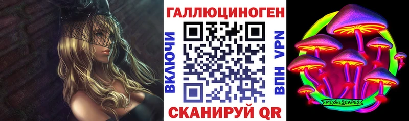 Купить где  Опочка  Псилоцибиновые грибы GOLDEN TEACHER 